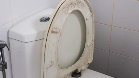 Čisti dasku od WC šolje bolje od varikine? Evo kako da od požutele dođete do sneg bele, bolje i od najjače hemikalije
