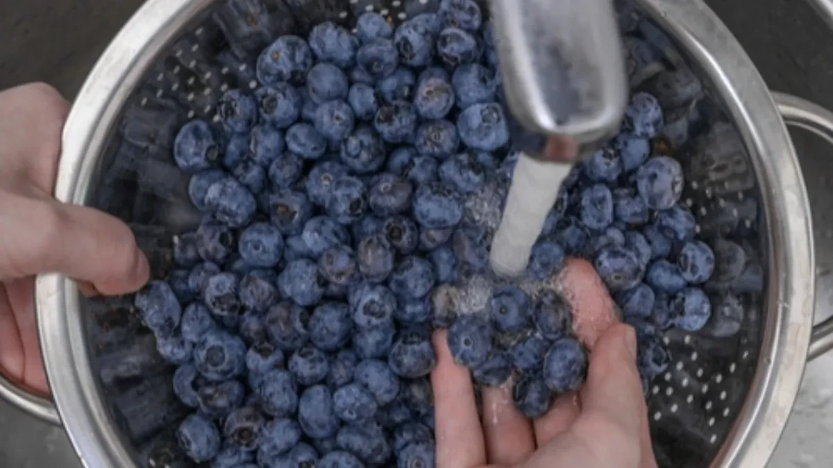 Svi ih samo isperu vodom, a to je greška: Evo kako se borovnice pravilno peru