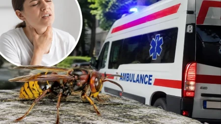 "Mislila sam da neću preživeti" Žena opisala jezive trenutke posle uboda stršljena: Za nekoliko sekundi ostala sam bez vazduha, a onda je počela prava borba za život