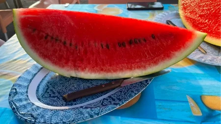 Lubenica dijeta skida i do 3 kilograma za samo 7 dana: Ubedljivo najbrži put do idealne linije