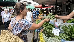 Žene u Srbiji masovno kupuju ruzmarin na pijacama! Guraju ga u tegle sa pirinčem, evo u čemu je fora