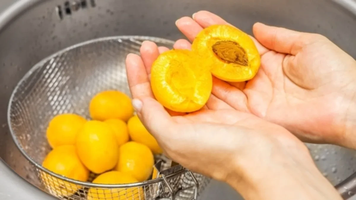 Bacate koštice od kajsija? Posle ovoga vam više neće pasti na pamet da to radite!