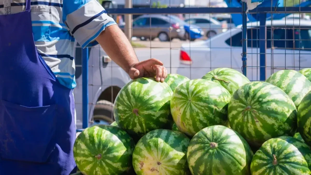 Kako prepoznati najslađu lubenicu? Prodavac ovog voća otkriva sjajan trik da uvek potrefite "pravu"