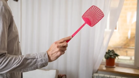 Bake su znale trik protiv muva: Otvarale su širom prozore, insekti nisu ulazili u kuću