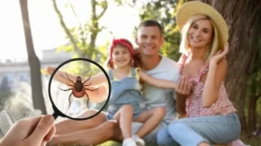 Zakačio vam se krpelj? Evo šta odmah treba da uradite, a šta nikako ne smete