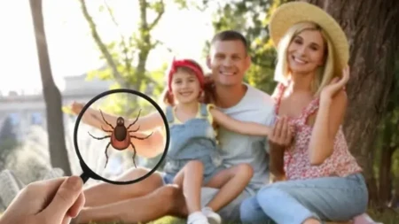 Zakačio vam se krpelj? Evo šta odmah treba da uradite, a šta nikako ne smete