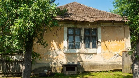 Naši preci su u dvorišta obavezno sadili ova drveća: Šta je svaka kuća morala da ima, privlače zdravlje, rast i napredak