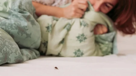 Smrdibube su opet krenule u napad! Neće ući u kuću kad stavite ovo kod prozora i vrata