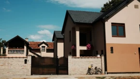 Privlači ljubav i zdravlje, svako dvorište mora da ima ovu biljku: Koje cveće koje su sadile naše bake da bi porodici donelo sreću?
