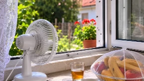 Muve vam stalno ulaze kroz prozor? Uradite ovo i napravićete im prepreku bez ijedne kapi hemije