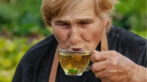 Plod je blago za zdravlje, a tek list koji uvek bacate - ma pravi eliksir: Dobar za regulisanje šećera, triglicerida, astme, svega