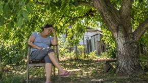 Ispod ovog drveta nikad nemojte sedeti: Posle pola sata ostajete bez snage i sa migrenom