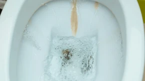 Nikakve sode bikarbone, nikakve paste, samo... Ovo "ubija smrad" iz wc šolje kao od šale, kupatilo u svakom trenutku miriše na čisto