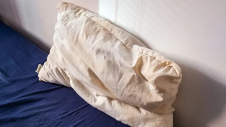 Gde sa starim jastucima? Ni slučajno u kantu, ovo mesto je bolje