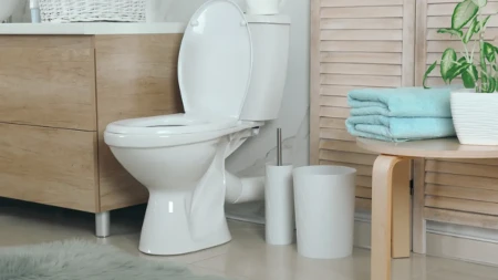Sve više ljudi izbacuje klasičnu WC četku iz kupatila: Ova verzija je praktičnija i mnogo lakša za održavanje