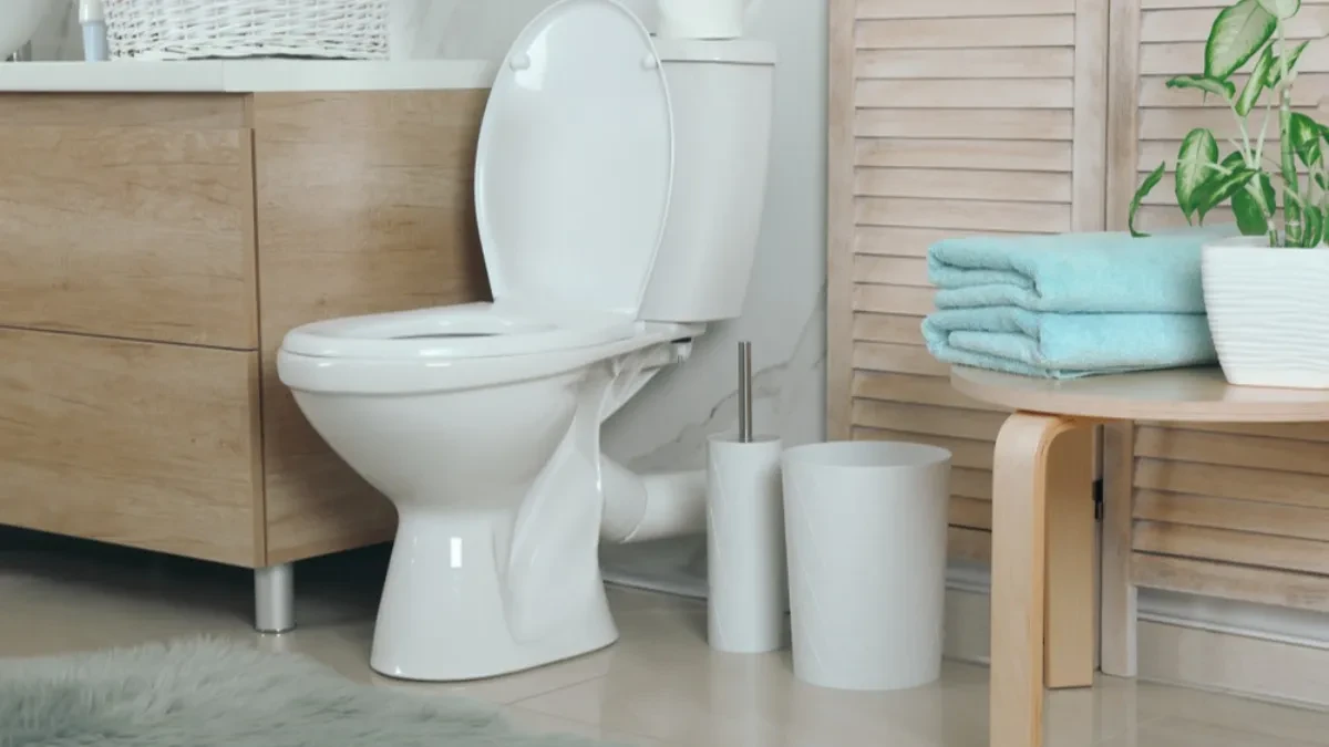 Sve više ljudi izbacuje klasičnu WC četku iz kupatila: Ova verzija je praktičnija i mnogo lakša za održavanje