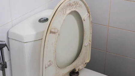 Čisti dasku od WC šolje bolje od varikine? Evo kako da od požutele dođete do sneg bele, bolje i od najjače hemikalije