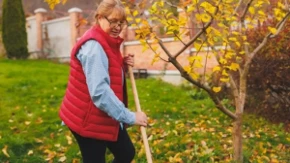 Ne skupljajte odmah svo lišće sa travnjaka: Od njega možete napraviti raj za baštu!