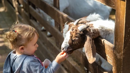 ,,Naš život je noćna mora": Devojčica (3) preminula nakon posete zoo vrtu